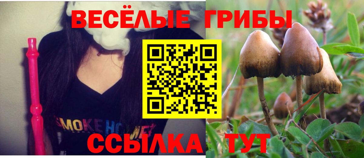Галлюциногенные грибы Magic Shrooms Татарск